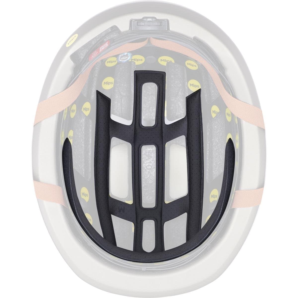 Specialized GAMBIT 2024