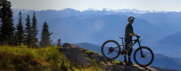 Teewing_Full_Carbon_E_mountain_bike_banner