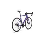 Specialized Allez Sprint Comp 2025