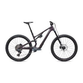 Specialized Stumpjumper 15 EVO Expert 2026
