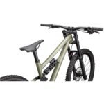 Specialized Status 170 2 DH 2024